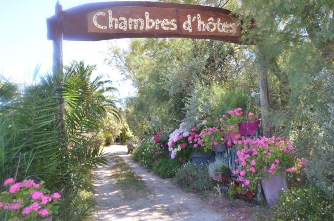 Gites Chambres D'Hotes Mazet Du Marechal Ferrant 생트마리들라메르 외부 사진