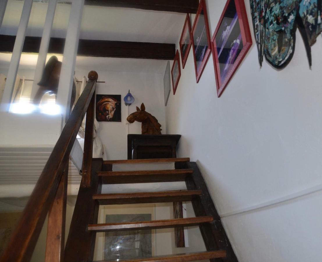Gites Chambres D'Hotes Mazet Du Marechal Ferrant 생트마리들라메르 외부 사진